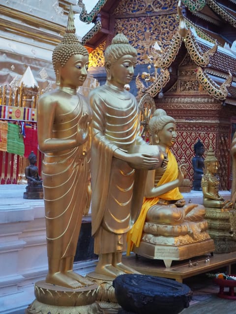 Chiang Mai: Chiangmai Tour With a Local Guide - Savor Coffee Plantation Experience
