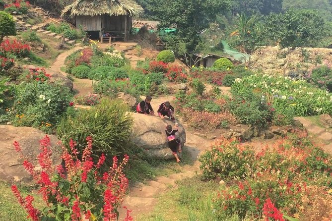 Chiang Mai City & Temples Tour - Traveler Reviews