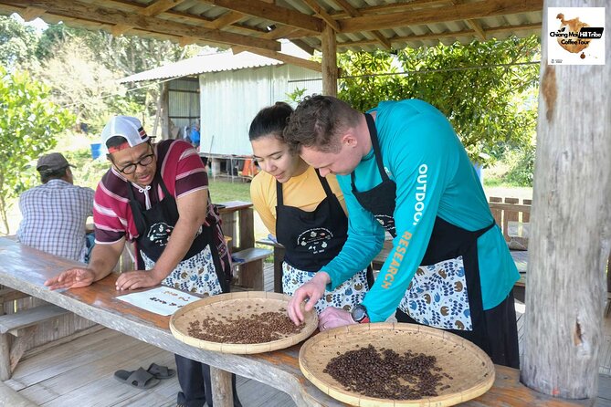 Chiang Mai Coffee Tour: Trekking to Farm, Roast and Brew Workshop - Itinerary and Meals