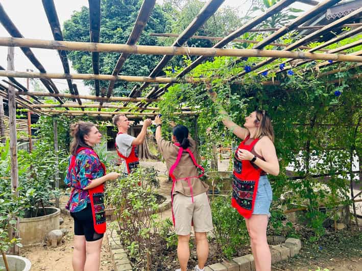 Chiang Mai: Cooking Class, Market and Thai Herbs Garden Tour - Hands-on Cooking Session