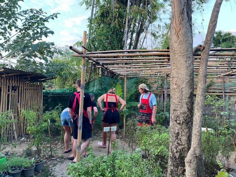 Chiang Mai: Cooking Class, Market and Thai Herbs Garden Tour - Dining in Organic Garden