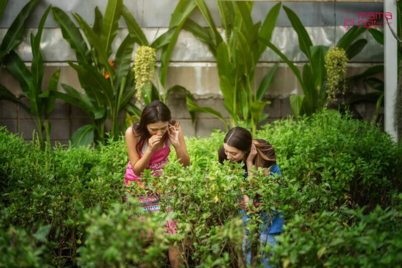Chiang Mai: Cooking Class With Organic Farm at Mama Noi - Culinary Education and Takeaways