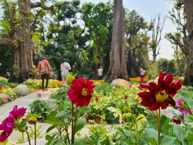 Chiang Mai: Dantewada Land of Angels & Sticky Waterfall Tour - Preparing for the Tour
