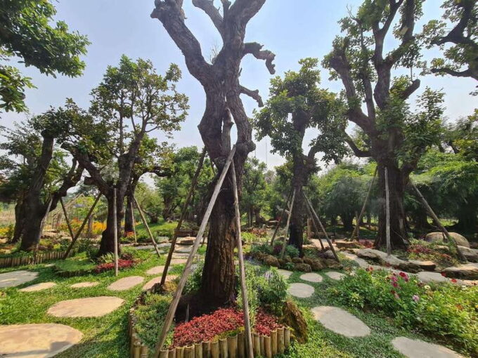 Chiang Mai: Dantewada Land of Angels & Sticky Waterfall Tour - Notable Reviews From Travelers