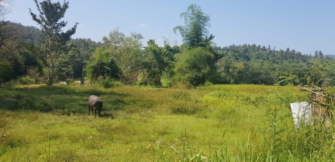 Chiang Mai Day Tours - Frequently Asked Questions