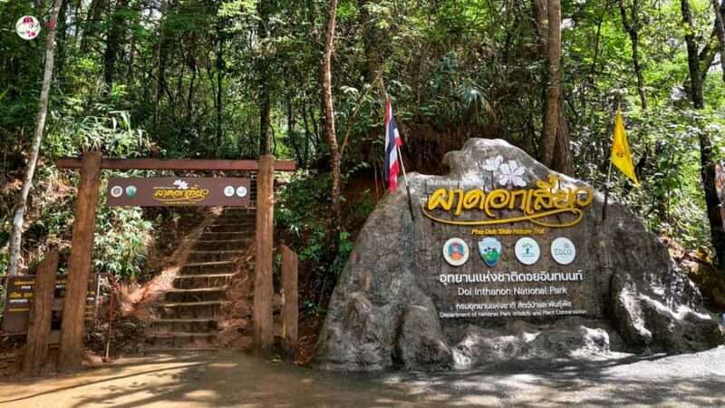 Chiang Mai: Doi Inthanon and Elephant Sanctuary Tour & Hike - An Honest Look at What to Expect