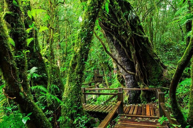 Chiang Mai - Doi Inthanon Full Day Tour - Pickup and Meeting Point