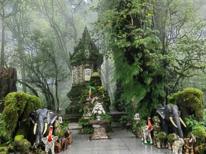 Chiang Mai: Doi Inthanon Hike, Hidden falls & Karen Culture - Who Should Consider This Tour?