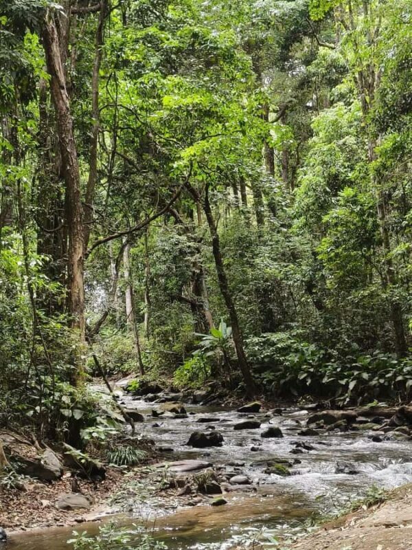 Chiang Mai: Doi Inthanon Hike, Hidden falls & Karen Culture - Final Thoughts: Is It Worth It?