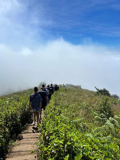 Chiang Mai: Doi Inthanon National Park & 2Hrs Hiking Kew Mae Pan - Exploring Doi Inthanon Summit