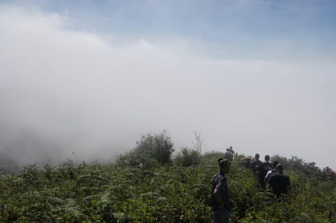 Chiang Mai: Doi Inthanon National Park & 2Hrs Hiking Kew Mae Pan - Frequently Asked Questions