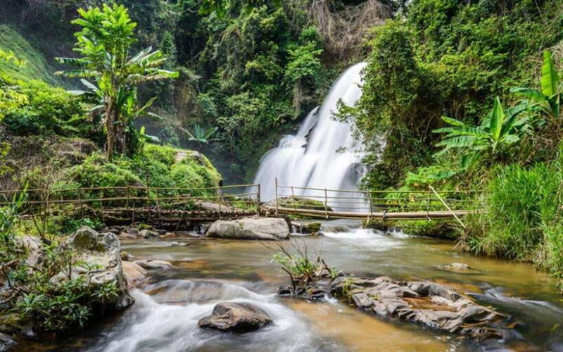 Chiang Mai: Doi Inthanon National Park and Pha Dok Siew Trek - Exploring Thailands Tallest Mountain