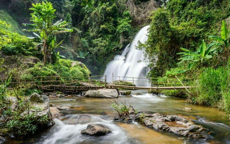 Chiang Mai: Doi Inthanon National Park and Pha Dok Siew Trek - Key Points