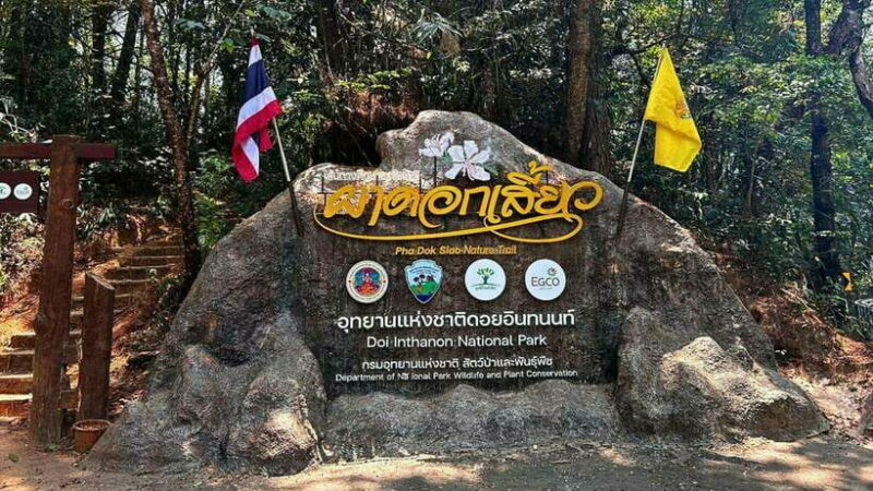 Chiang Mai: Doi Inthanon National Park and Pha Dok Siew Trek - Exploring Doi Inthanon: What You Can Expect