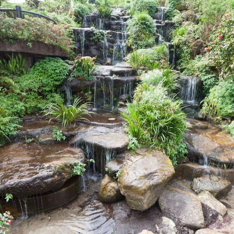 Chiang Mai: Doi Inthanon National Park Day Tour With Lunch - Tour Features and Experiences
