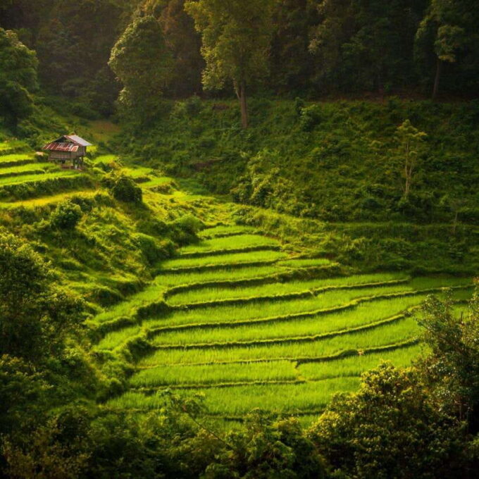 Chiang Mai: Doi Inthanon National Park Day Tour With Lunch - Experiencing the Local Culture