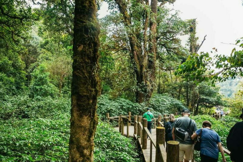 Chiang Mai: Doi Inthanon National Park Eco-Friendly Tour - The Itinerary: A Deep Dive into Each Stop