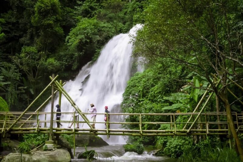 Chiang Mai: Doi Inthanon National Park & Elephant Sanctuary - Key Points