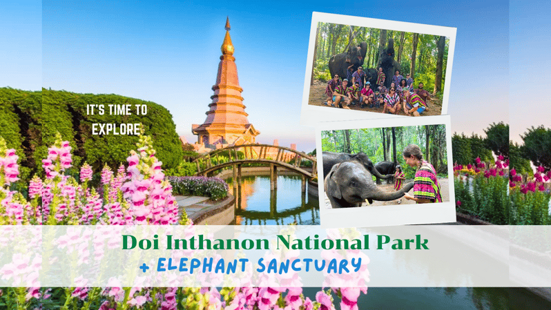 Chiang Mai: Doi Inthanon National Park & Elephant Sanctuary - Highlights of the Day