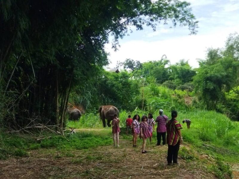 Chiang Mai: Doi Inthanon National Park & Elephant Sanctuary - Entrance Fees and Inclusions