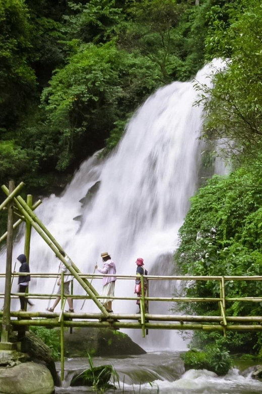 Chiang Mai: Doi Inthanon National Park & Elephant Sanctuary - Accessibility and Restrictions