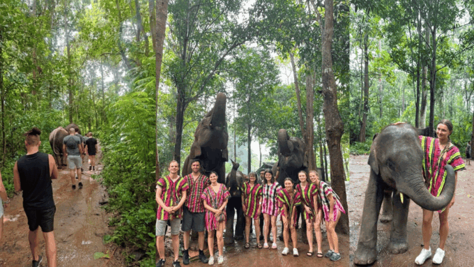 Chiang Mai: Doi Inthanon National Park & Elephant Sanctuary - Elephant Sanctuary Experience
