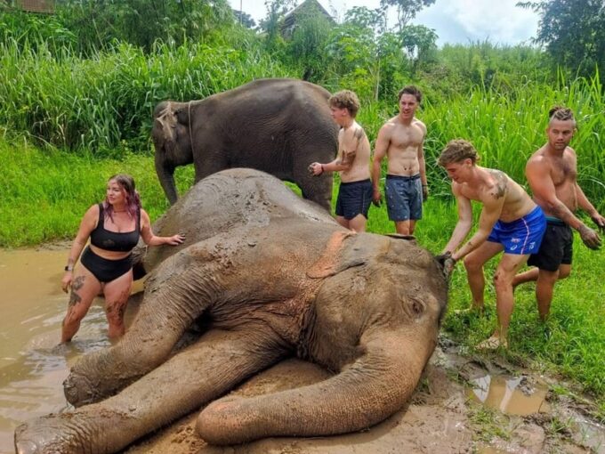 Chiang Mai: Doi Inthanon National Park & Elephant Sanctuary - Doi Inthanon National Park Exploration