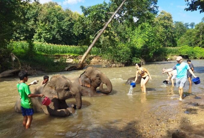 Chiang Mai: Doi Inthanon National Park & Elephant Sanctuary - Frequently Asked Questions