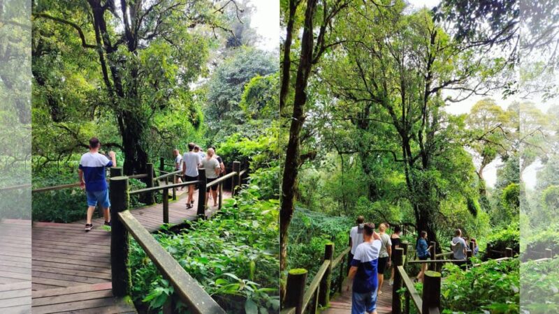 Chiang Mai: Doi Inthanon National Park Sightseeing - Discovering the King & Queen Pagodas