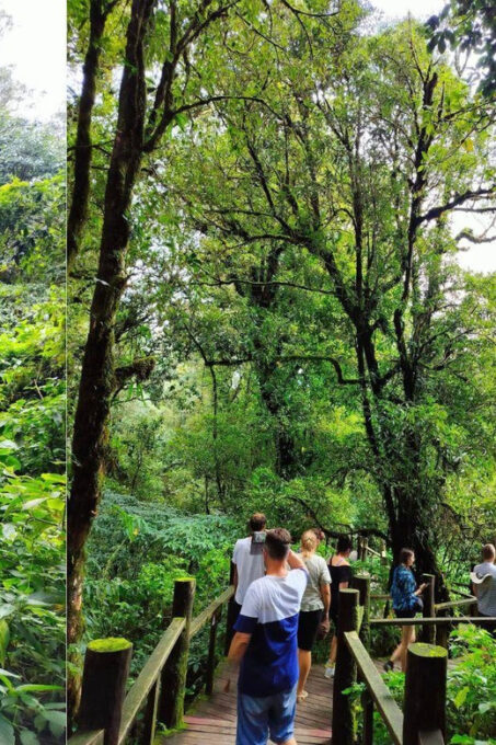 Chiang Mai: Doi Inthanon National Park Sightseeing - Marveling at Sirithan and Wachirathan Waterfalls