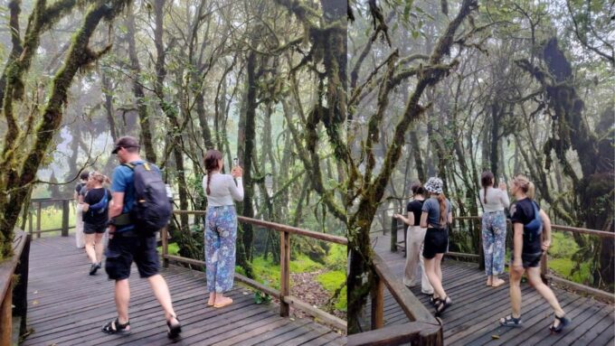 Chiang Mai: Doi Inthanon National Park Sightseeing - Accessibility and Dress Code Considerations