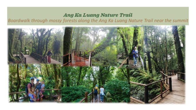 Chiang Mai: Doi Inthanon National Park Sightseeing - Packing and Transportation Logistics