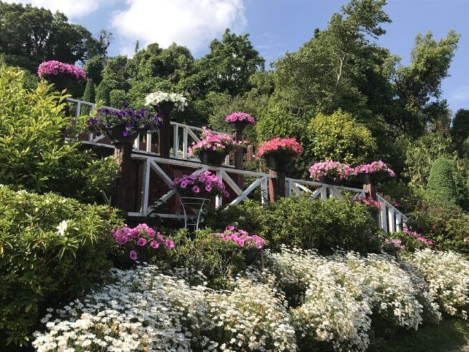 Chiang Mai: Doi Inthanon National Park Visit and Guided Hike - Exploring Doi Inthanon National Park