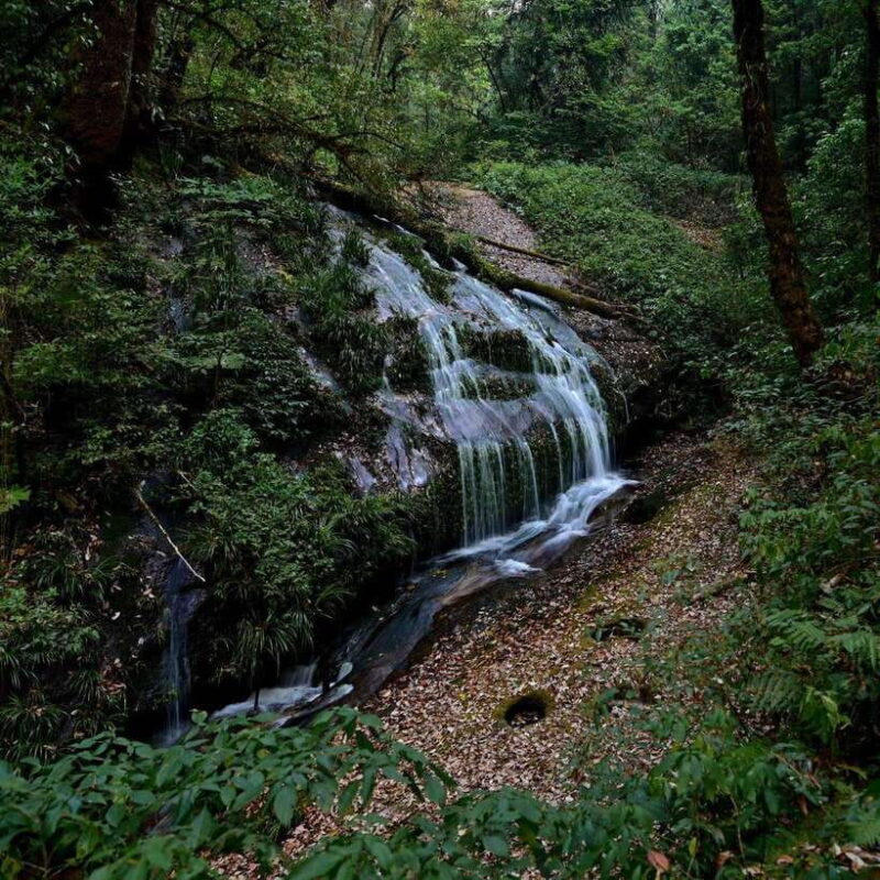 Chiang Mai: Doi Inthanon National Park, Waterfall & Lunch - Viewpoints and Scenery