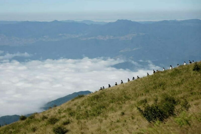 Chiang Mai: Doi Inthanon Park and Kew Mae Pan 2-Hour Hike - Who Will Love This Tour?