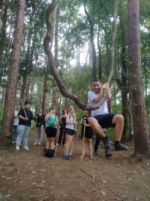 Chiang Mai: Doi Inthanon Park and Pha Dok Siew Hike Day Trip - Hiking the Pha Dok Siew Trail