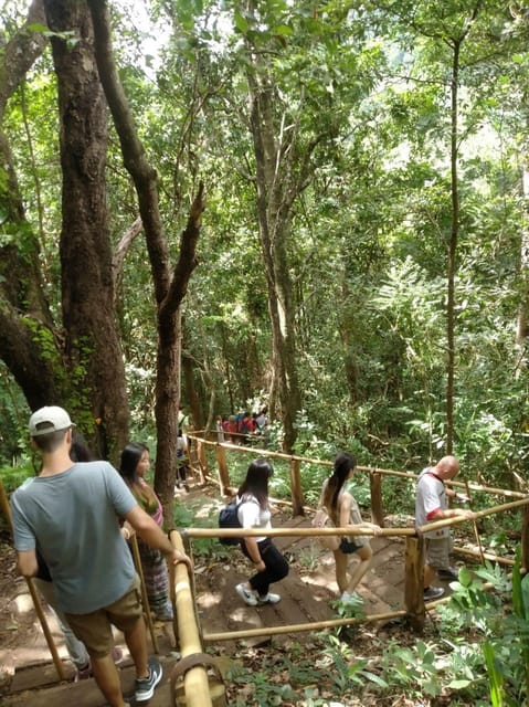 Chiang Mai: Doi Inthanon Park and Pha Dok Siew Hike Day Trip - Important Trip Information