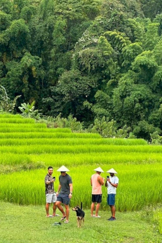 Chiang Mai: Doi Inthanon Park and Pha Dok Siew Trail Trek - Pickup and Drop-off Details