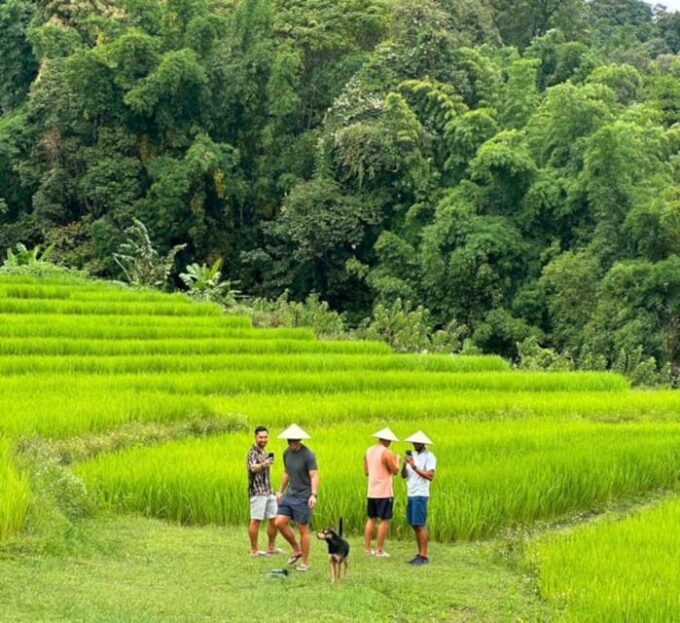 Chiang Mai: Doi Inthanon Park and Pha Dok Siew Trail Trek - Wachirathan Waterfall