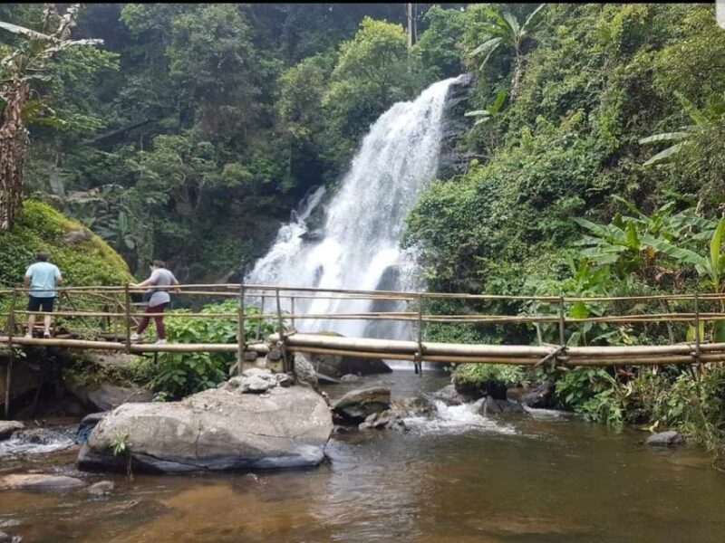 Chiang Mai: Doi Inthanon Park and Pha Dok Siew Trail Trek - Itinerary Highlights