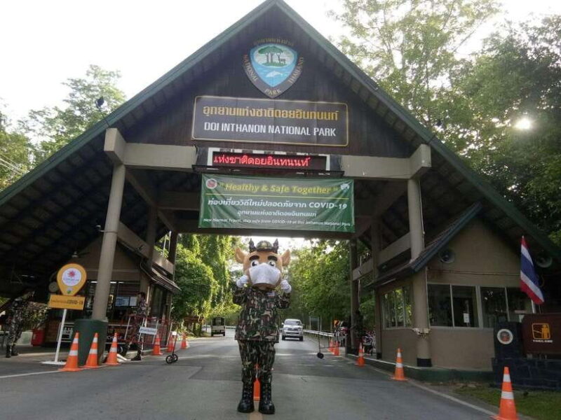Chiang Mai: Doi Inthanon Park Tour & Kew Mae Pan Trail Hike - Trail Information