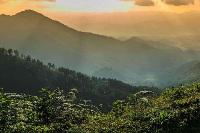 Chiang Mai: Doi Inthanon Park Tour & Kew Mae Pan Trail Hike - What to Expect During the Tour