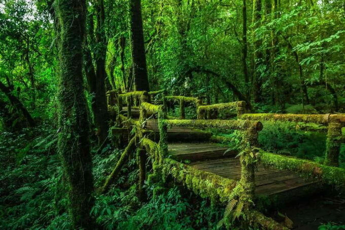 Chiang Mai: Doi Inthanon Park Tour & Kew Mae Pan Trail Hike - Frequently Asked Questions