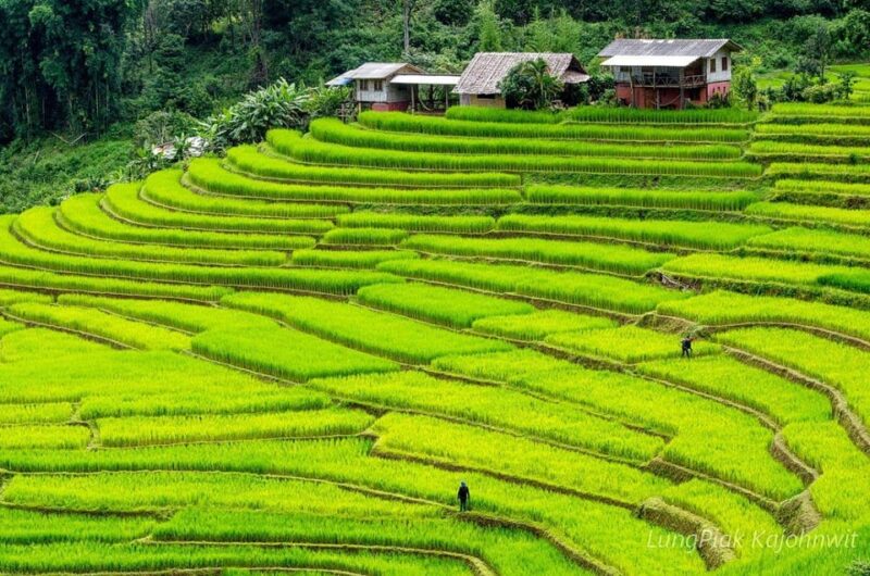 Chiang Mai: Doi Inthanon Park Waterfall Guided Car Tour - Visiting the Waterfalls