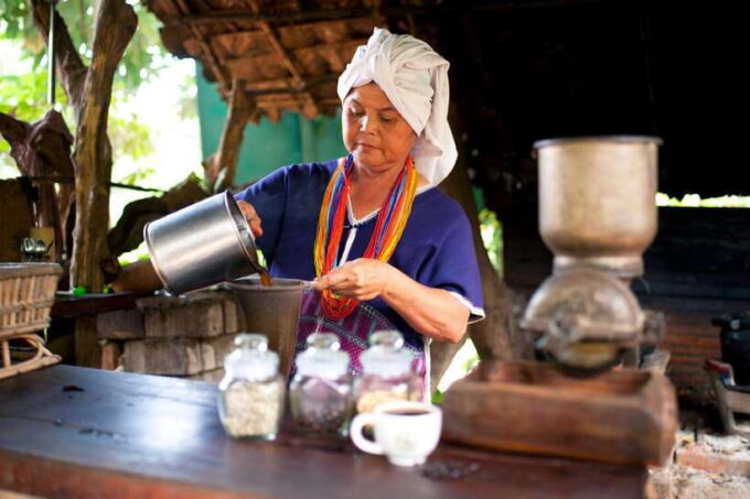 Chiang Mai: Doi Inthanon Park Waterfall Guided Car Tour - Appreciating Nature and Wildlife