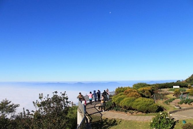CHIANG MAI: Doi Inthanon-Trekking Keiw Mae Pan-Waterfall-Lunch - Trekking Keiw Mae Pan
