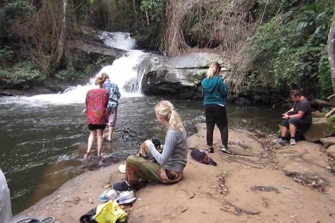 CHIANG MAI: Doi Inthanon-Trekking Pha Dok Seaw-Waterfall-Lunch - Transportation and Pickup