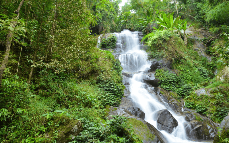 Chiang Mai: Doi Suthep Temple and Waterfall by Songtaew Trio - Discovering Wat Pha Lat