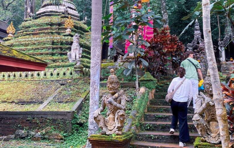 Chiang Mai: Doi Suthep, Wat Pha Lat and Michelin Food Tour - Itinerary Highlights