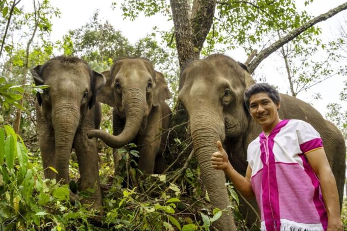 Chiang Mai: Elephant Dream Project Sanctuary - Full Day - Relaxing at the Waterfall